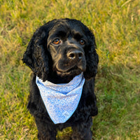 Little English traditional children's clothing.  Blue floral dog bandana for Fall