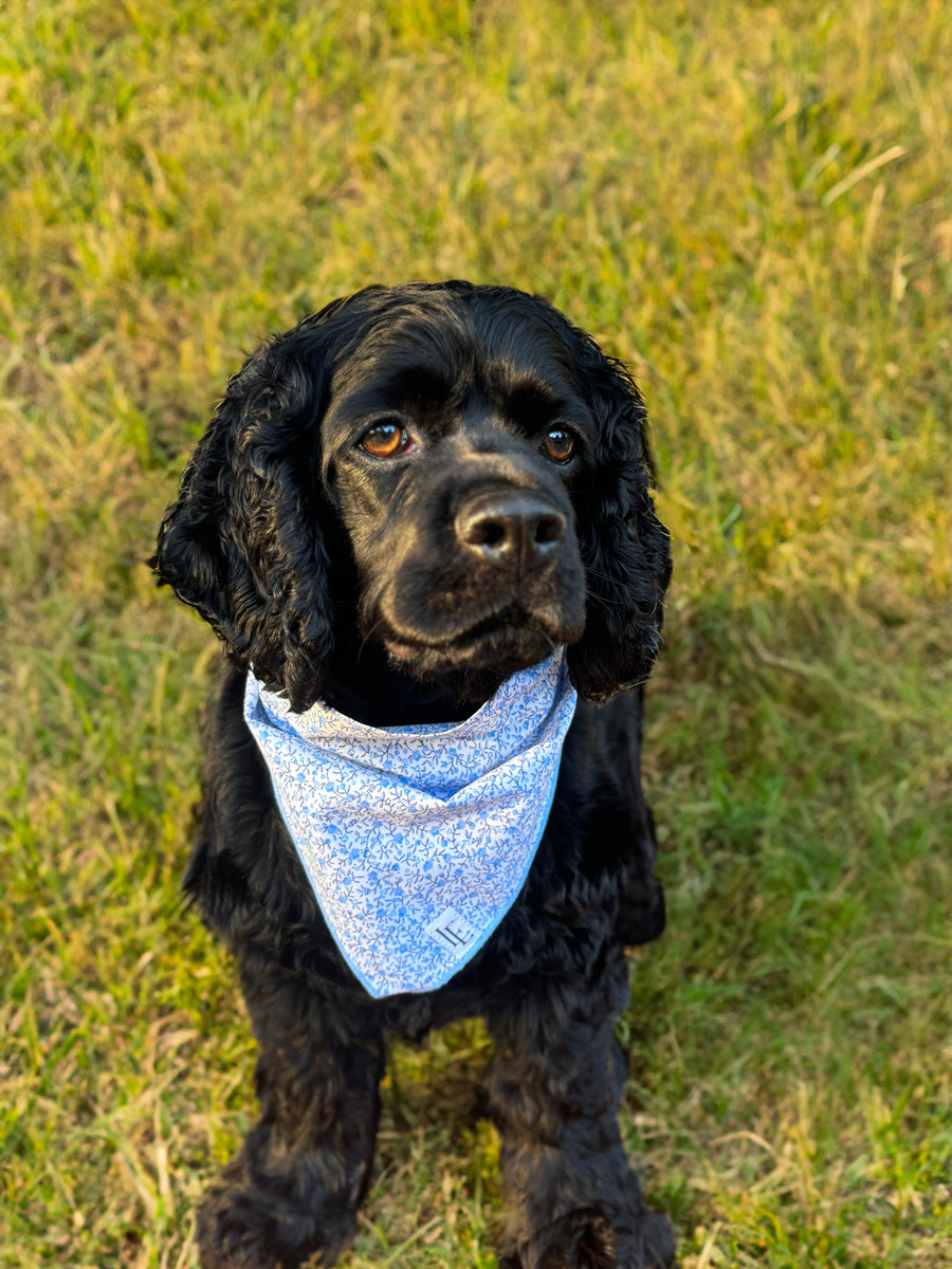 Little English traditional children's clothing.  Blue floral dog bandana for Fall