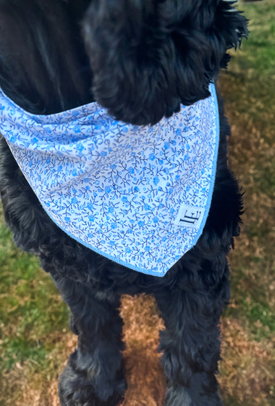 Little English traditional children's clothing.  Blue floral dog bandana for Fall